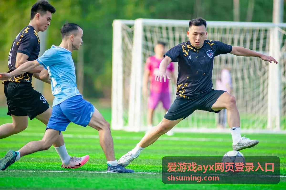 爱游戏ayx网页登录入口账号安全验证设置